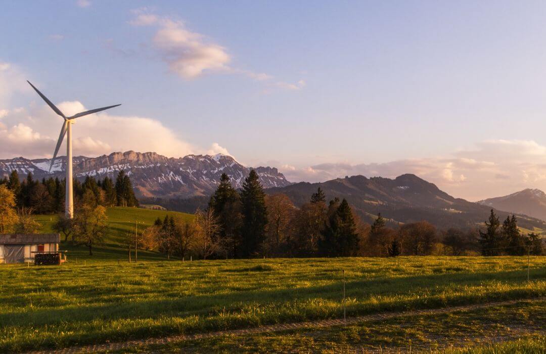 field with windmill