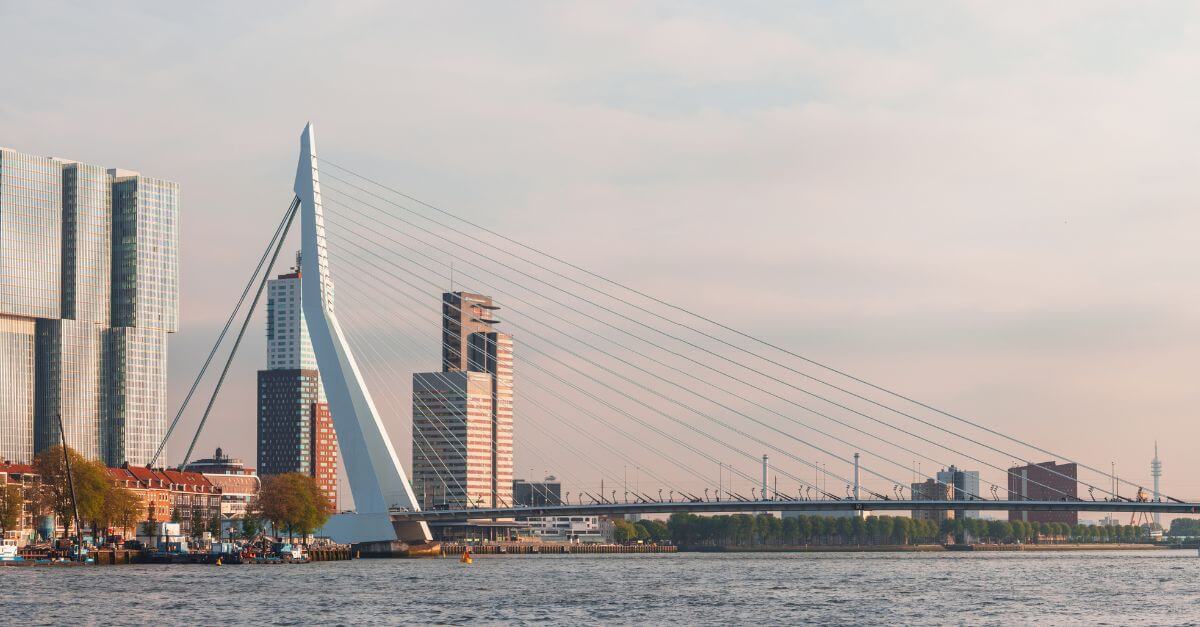 skyline of the city of rotterdam