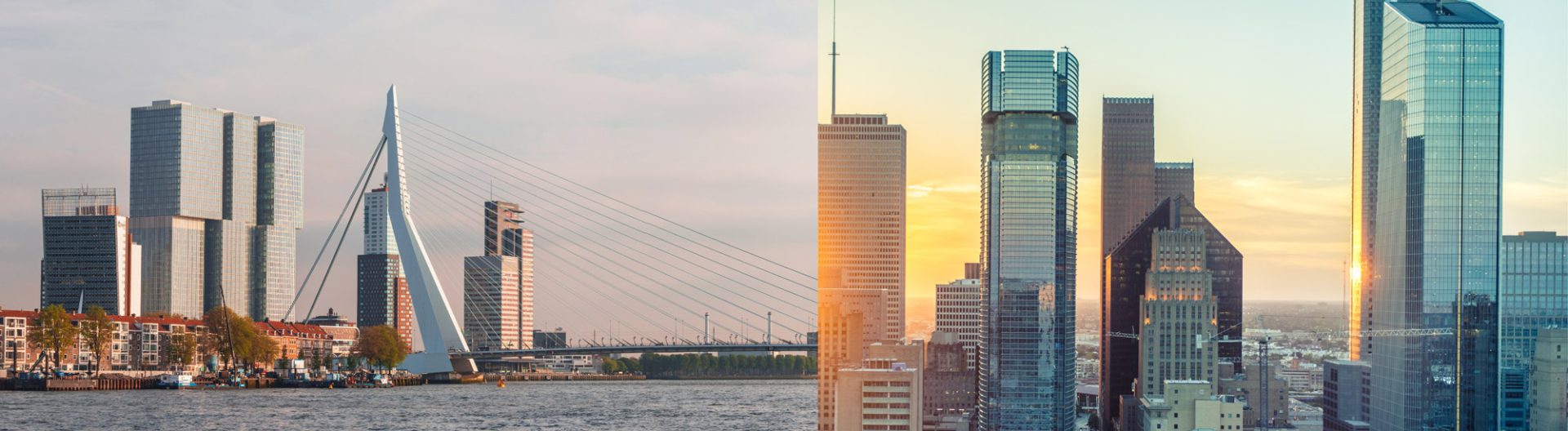 rotterdam-houston-skylines-(1800-×-495px)